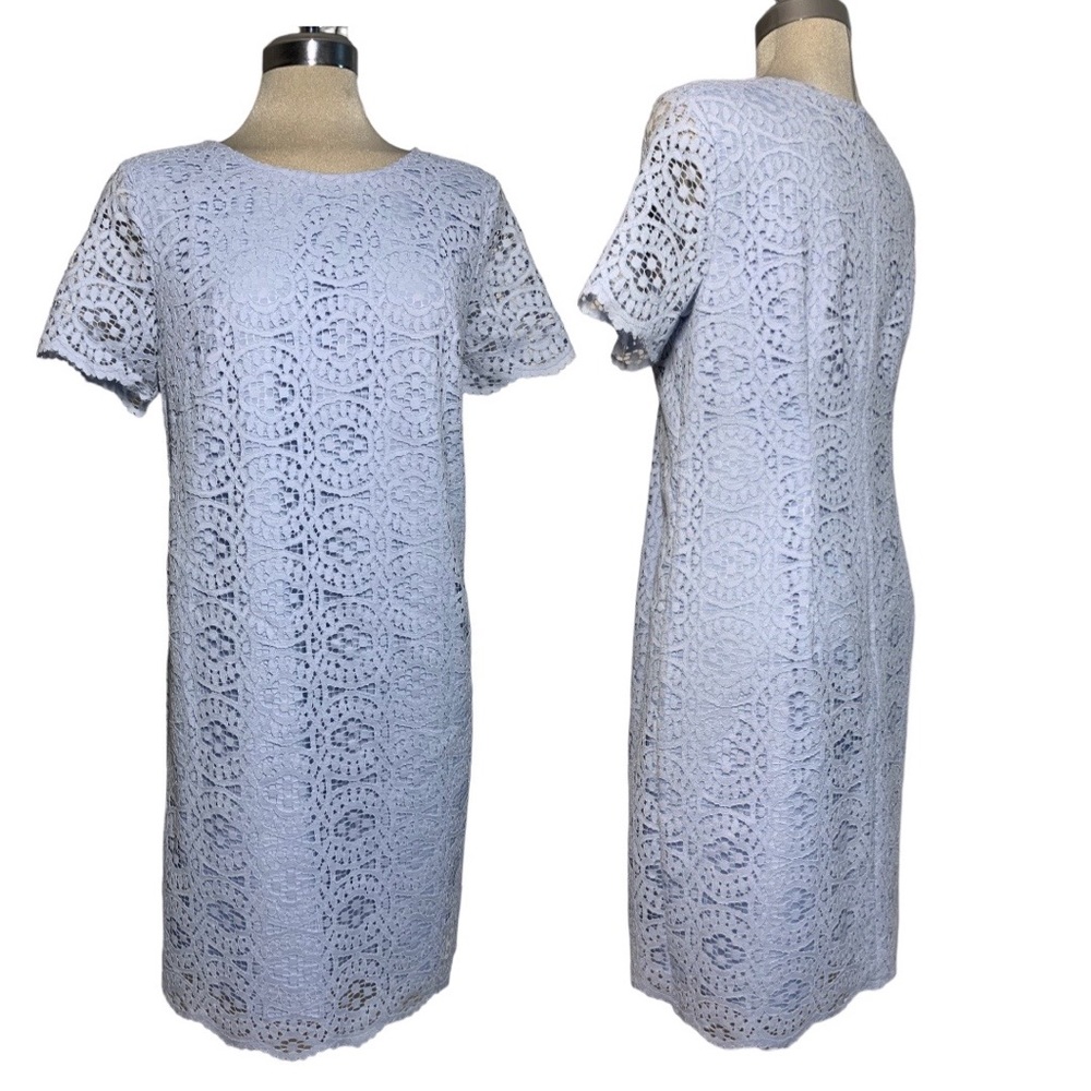 *NEW* ANN TAYLOR Gorgeous Clear Blue  Lace Short Sleeves Sheath Dress Si…